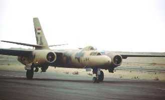 IL28 image