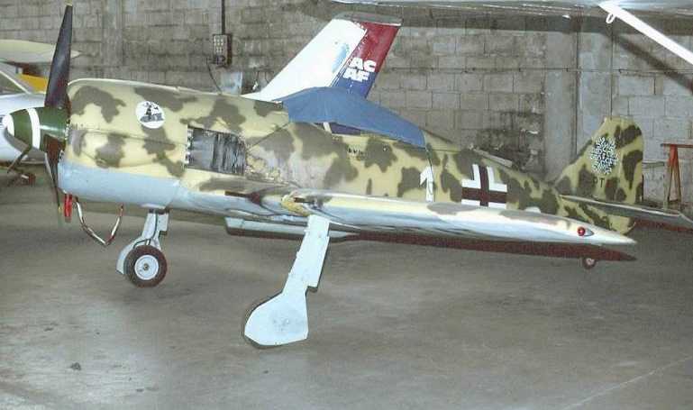 THUNDER WINGS Focke-Wulf Fw-190 TFOC aircraft photograph